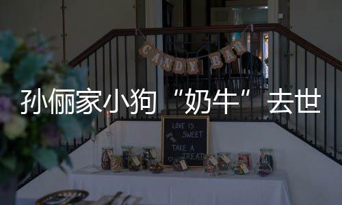 小花奶牛女儿狗去痛哭家小孙俪世