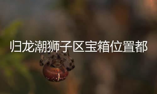 箱位享哪里归龙 归子区置分宝箱都在区宝位置潮狮龙潮狮子