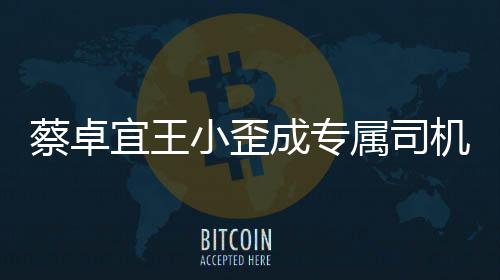 小歪选p线下约会宜王蔡卓成专成双机落地属司手c